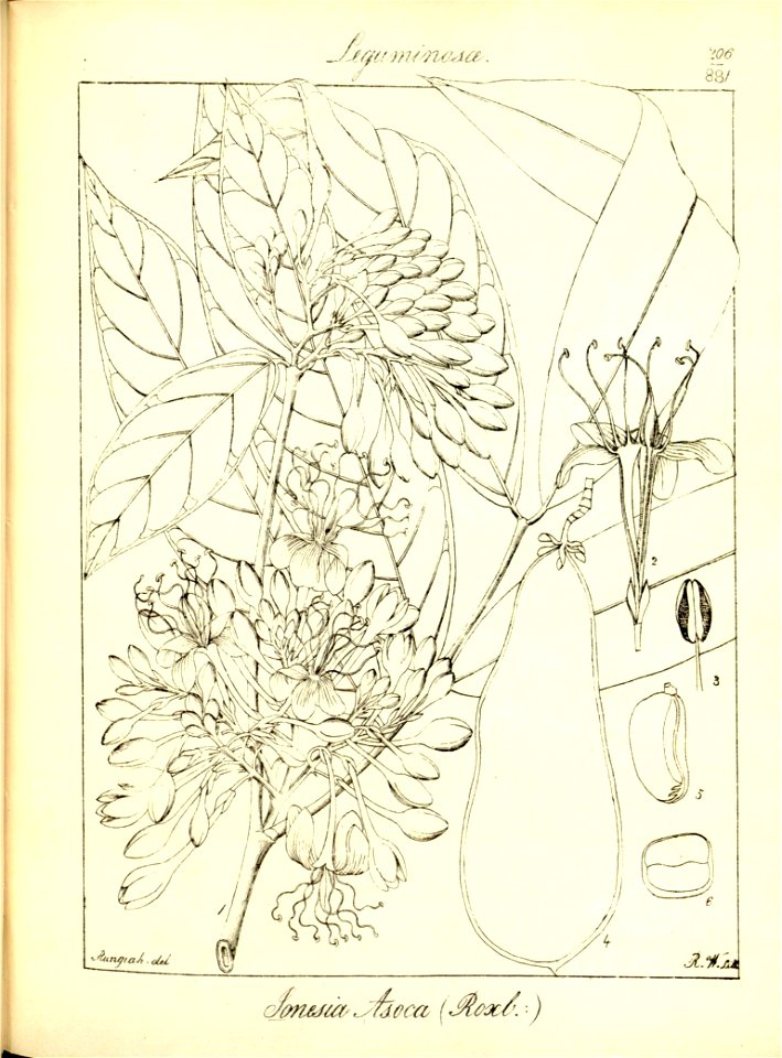 n238_w1150