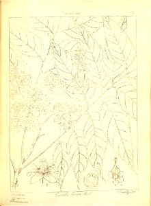 n193_w1150