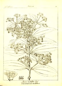 n163_w1150
