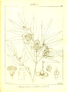 n148_w1150