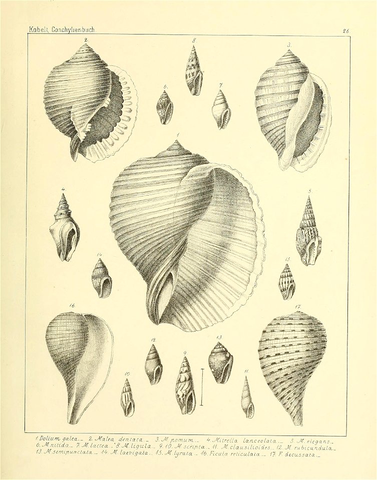 n216_w1150