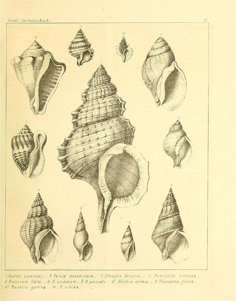n186_w1150