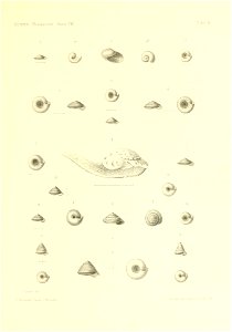 n288_w1150