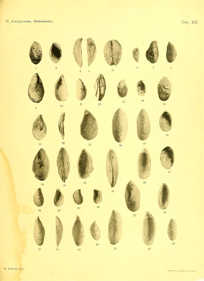 n44_w1150