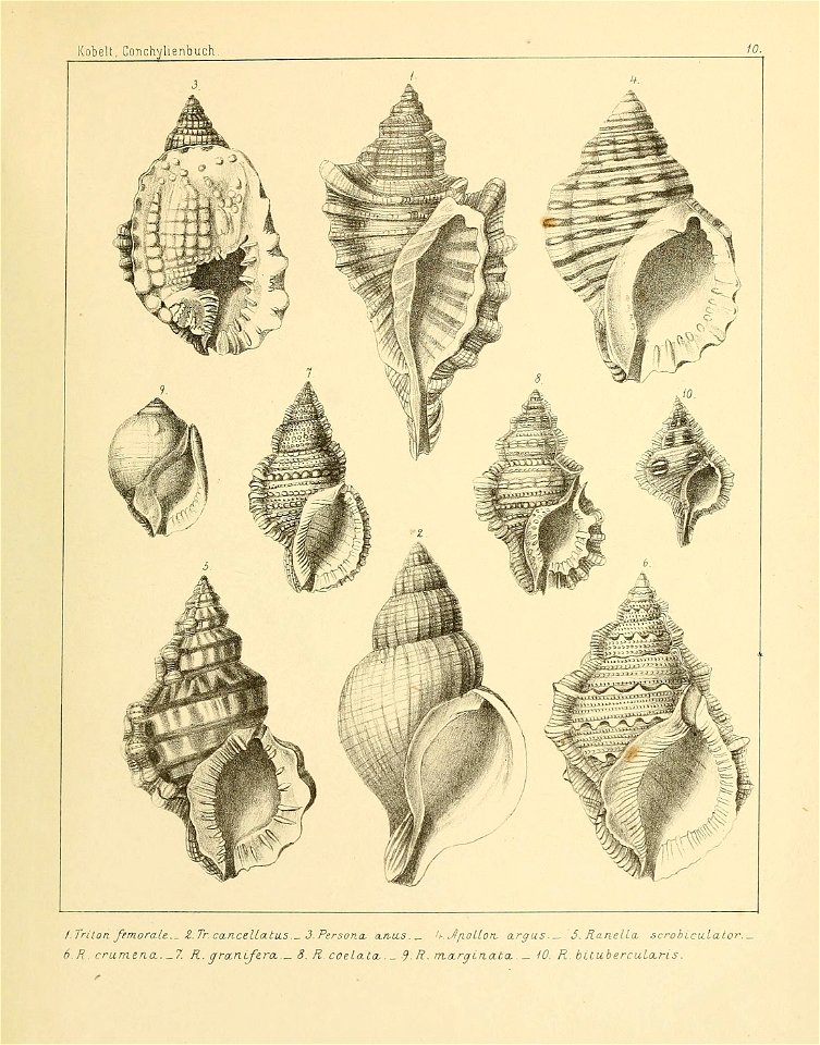 n184_w1150