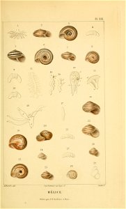 n138_w1150