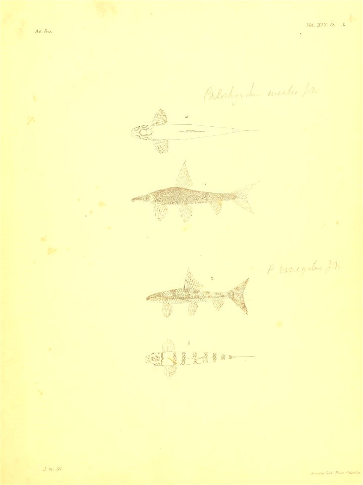 n136_w1150