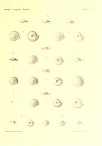 n404_w1150