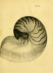 n222_w1150