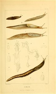 n106_w1150