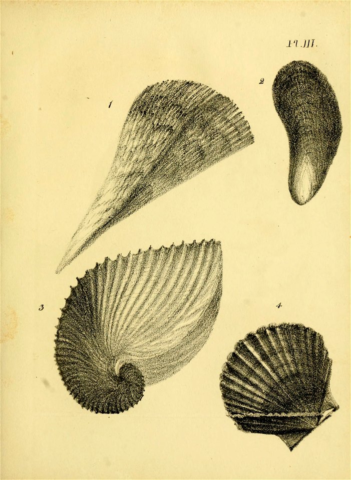 n220_w1150