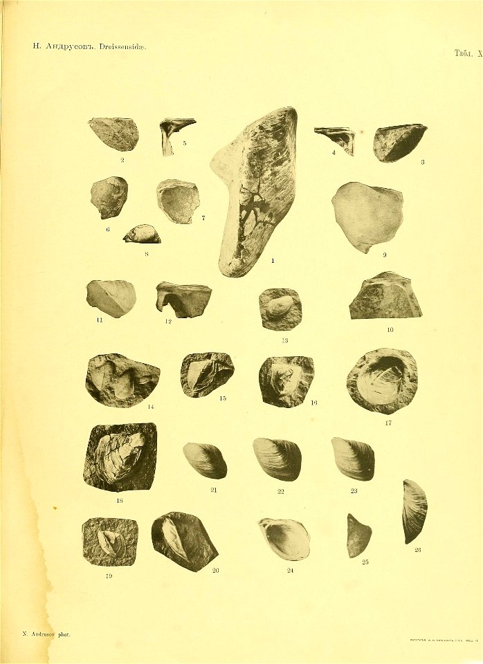 n40_w1150