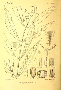 n393_w1150
