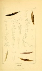 n104_w1150