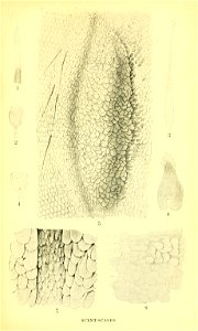 n202_w1150