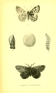 n176_w1150