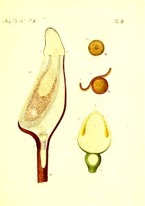 n296_w1150