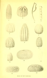 n136_w1150
