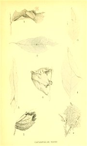 n124_w1150
