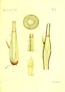 n292_w1150