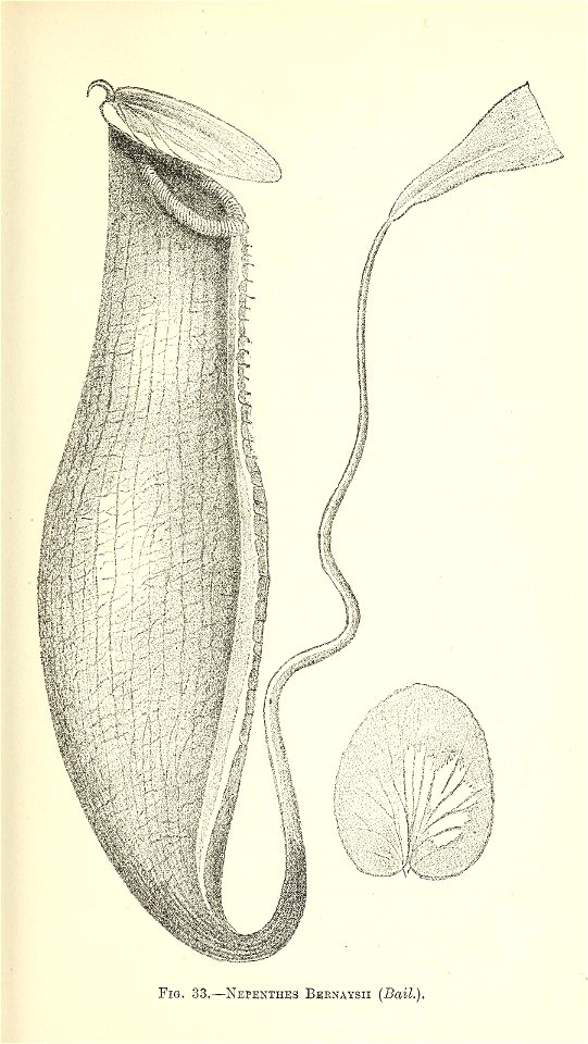 n204_w1150