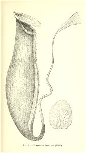 n204_w1150
