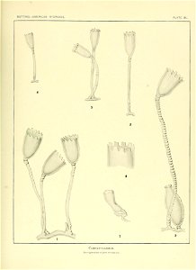 n134_w1150