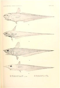n872_w1150