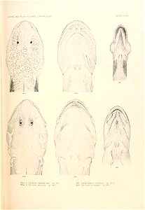 n842_w1150
