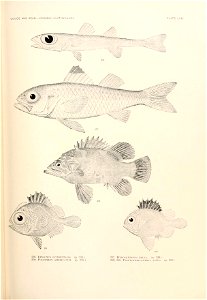 n812_w1150