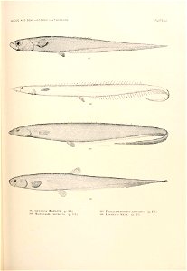 n782_w1150
