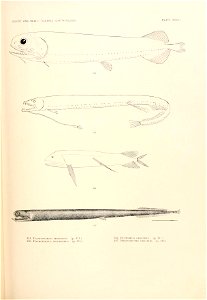 n752_w1150