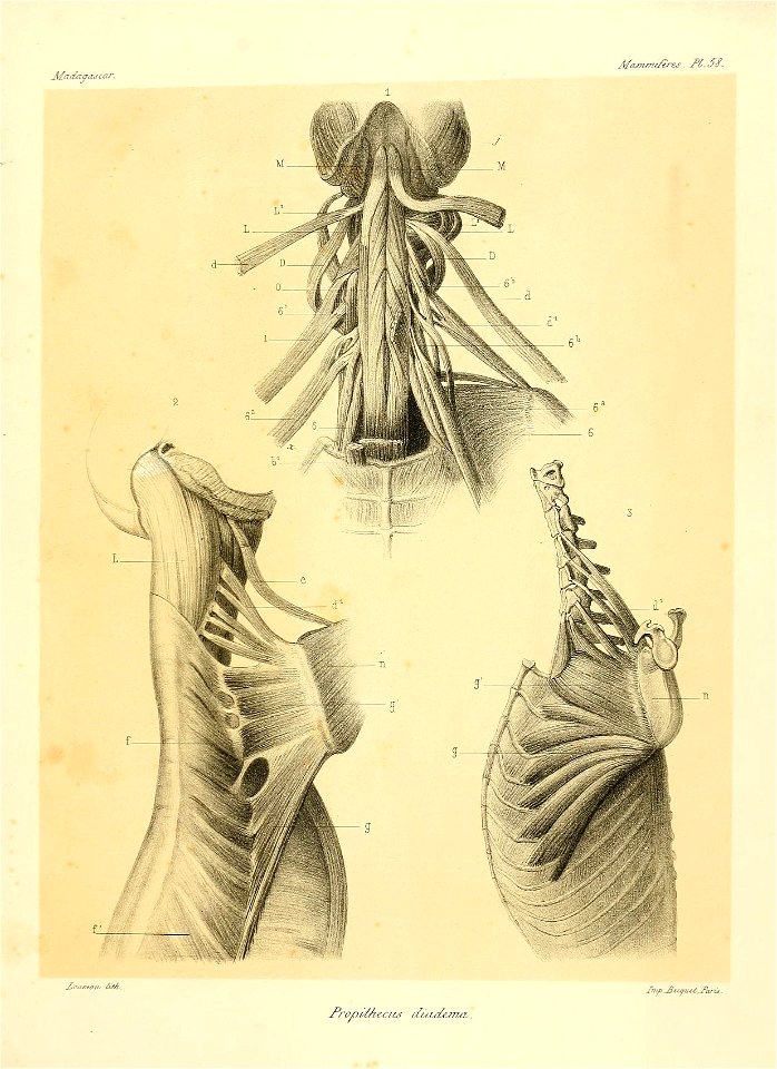 n122_w1150