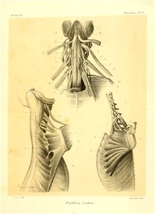 n122_w1150