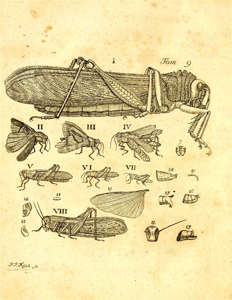 n443_w1150