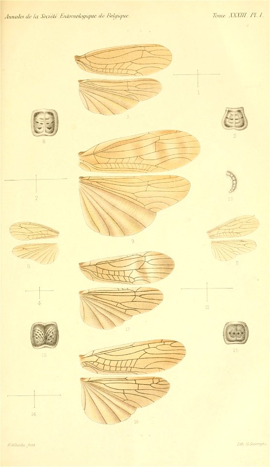 n830_w1150