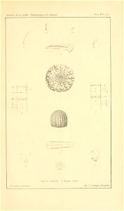 n440_w1150
