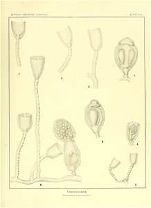 n160_w1150