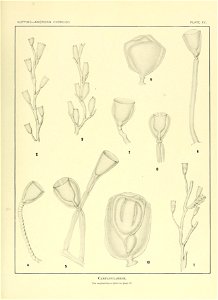 n158_w1150
