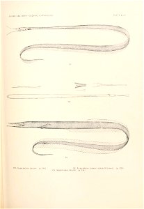 n774_w1150