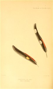 n407_w1150