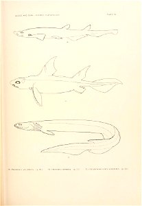 n692_w1150
