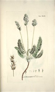 n153_w1150
