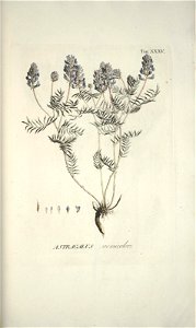 n138_w1150