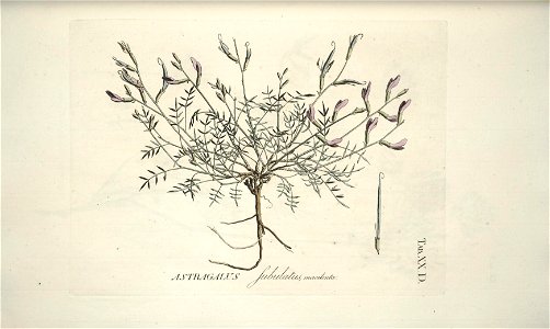 n123_w1150