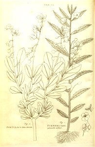 n44_w1150
