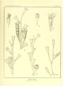 n162_w1150