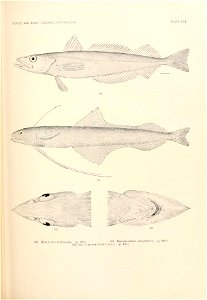 n870_w1150