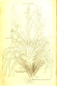 n225_w1150