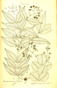 n164_w1150